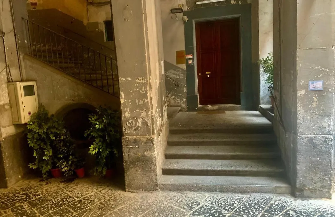 RosaRicca House-1